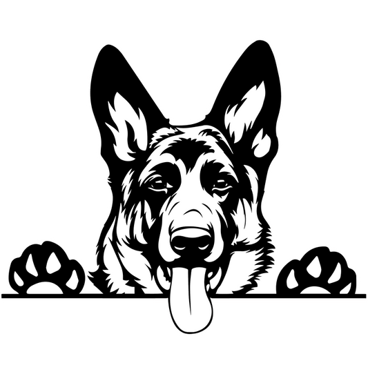 German Shepherd