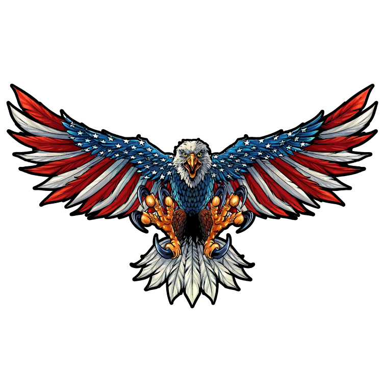 Bald eagle american flag – United by Color