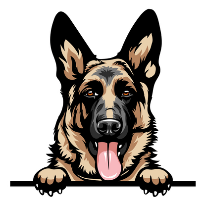 German Shepherd