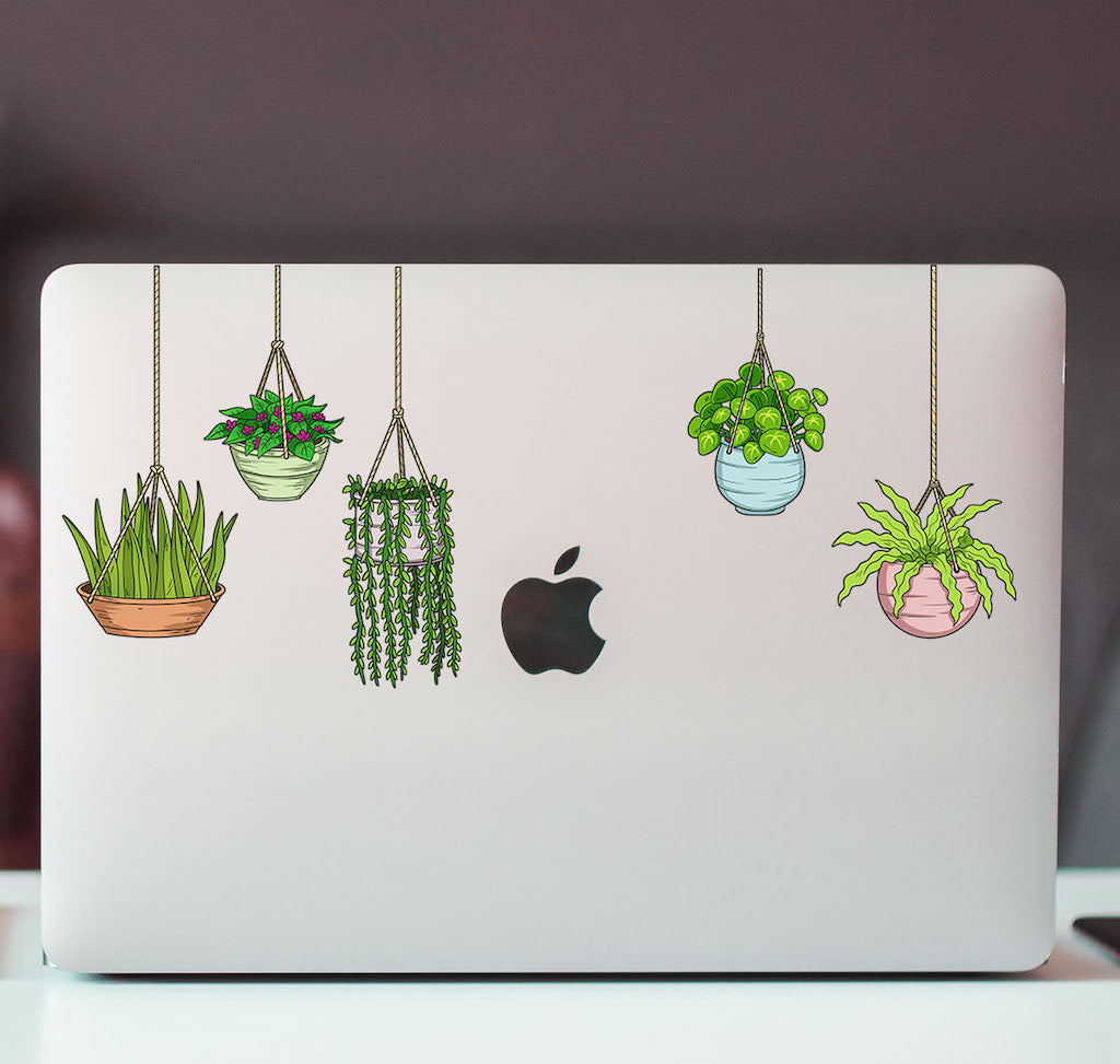 Hanging Plants